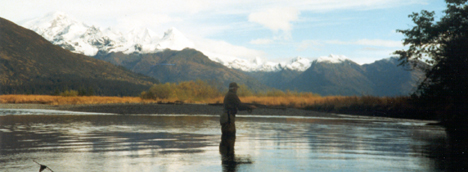rainbow trout and salmon fishing