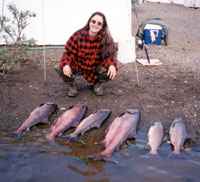 Nushagak River tent camp